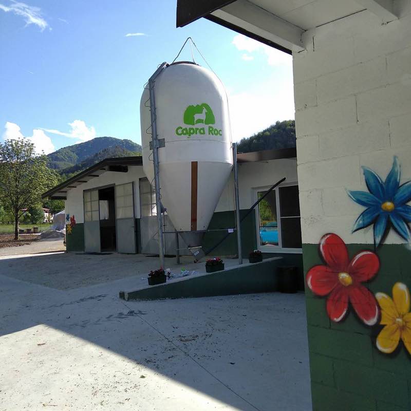Murales per l'allevamento "Capraroc"