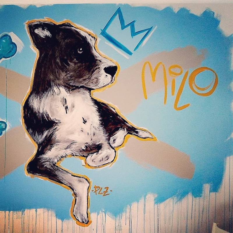 "milo", ritratto su parete