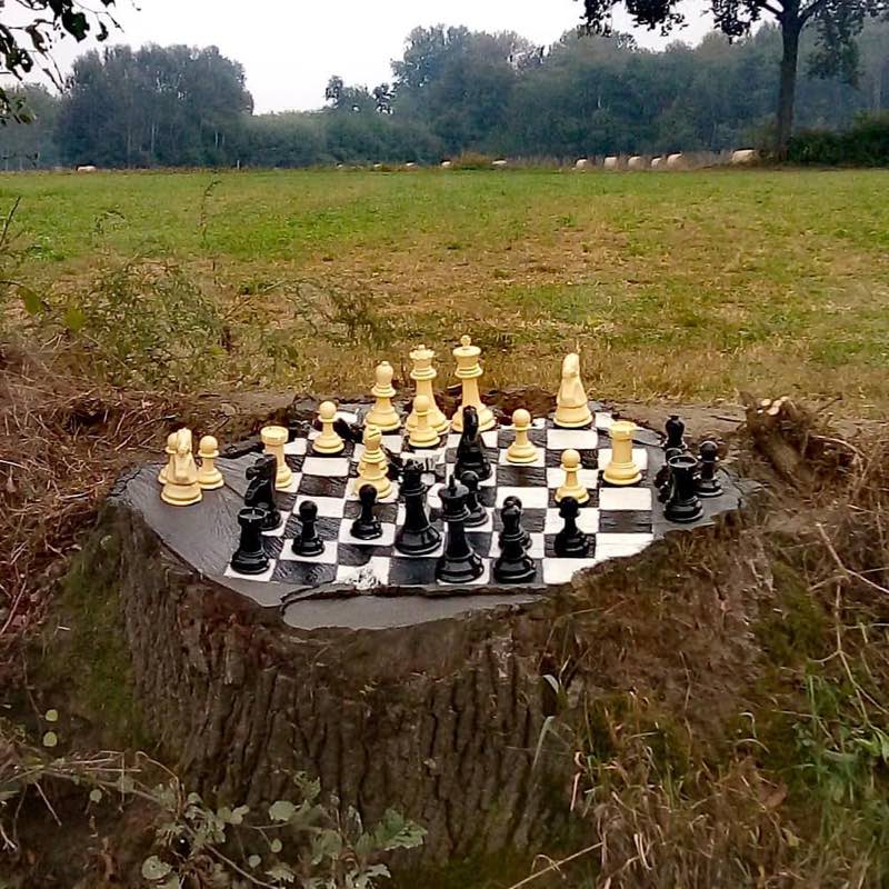 Scacchiera su un tronco d'albero