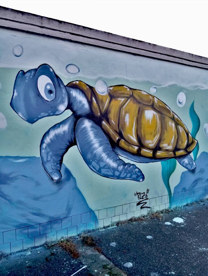 Jam, tartaruga gigante