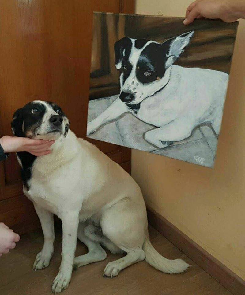 Lavoro di PLZ Decorazioni artistiche